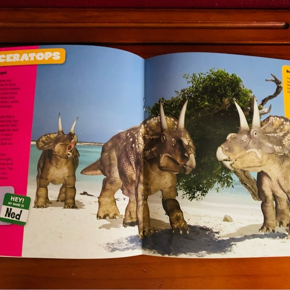 Dinosaur Book Collection: 6 Books , 2 NEW, 3 Hardcover , Gorgeous Illustrations - Picture 5 of 15